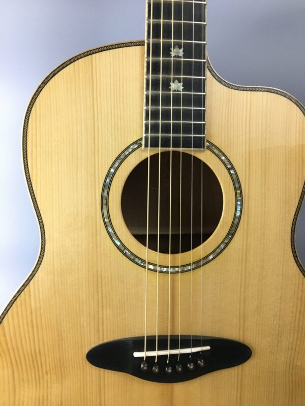 A1MCA top detail with abalone rosette and pearl fretboard markers